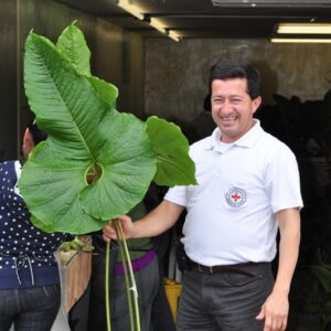 Anthurium_0020_insigne